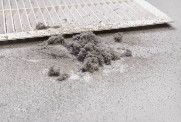 Best Local Air Duct Cleaning Services  in Campbell, FL