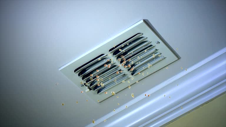 Best HVAC Duct Inspection Services  in Campbell, FL