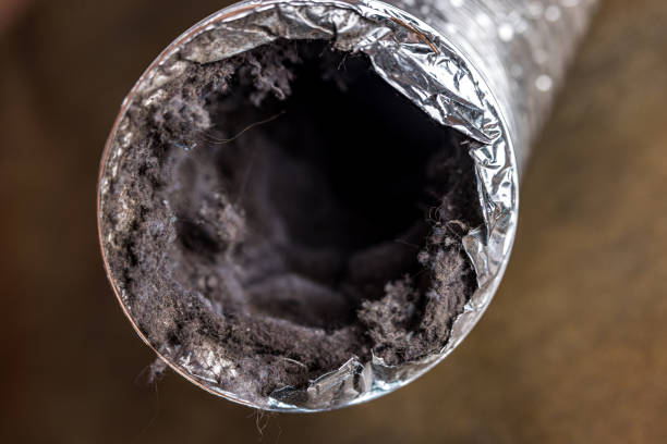 Best Air Duct Cleaning Near Me  in Campbell, FL